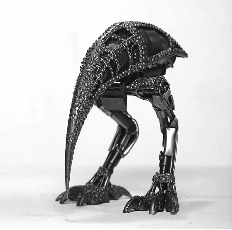 Avian Construct